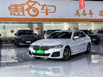 BMW 5 Series New Energy