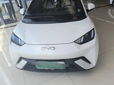 BYD Seagull