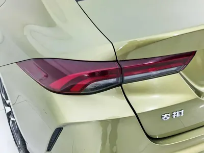 GAC Motor Shadow Leopard