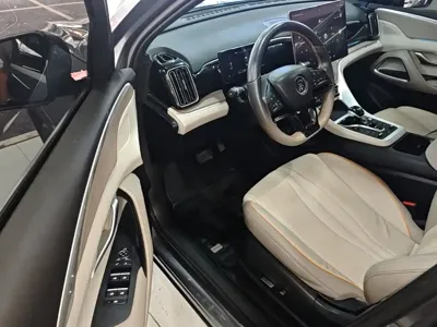 BYD Pro New Energy