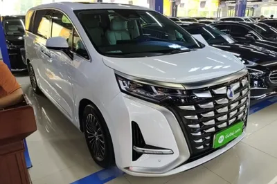 Denza D9