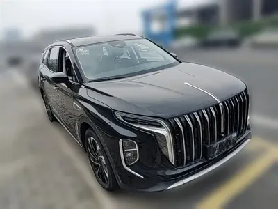 Hongqi Hongqi HS7 PHEV