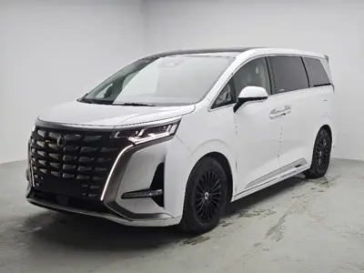 Denza Denza D9