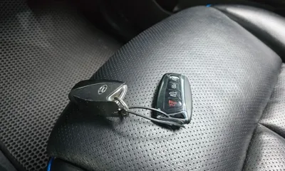 Hyundai Maxcruz