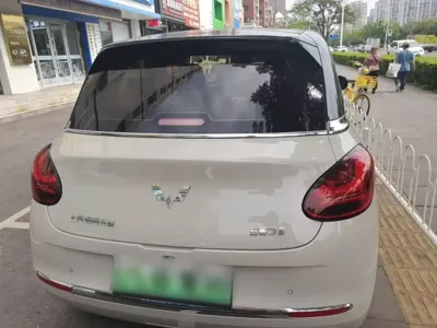 Wuling Bingo
