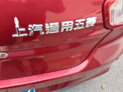 Baojun 310