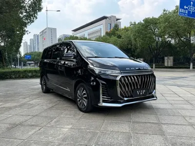 Maxus G20