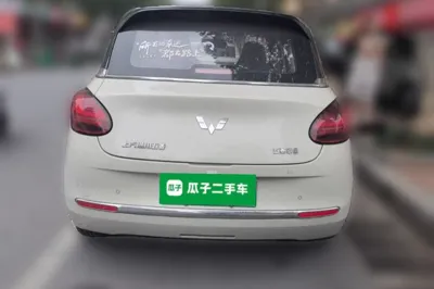 Wuling Bingo
