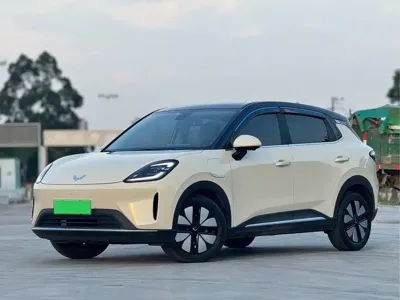 Wuling 缤果S