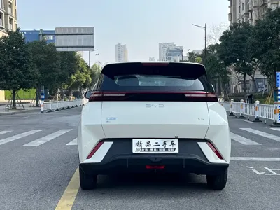 BYD Seagull