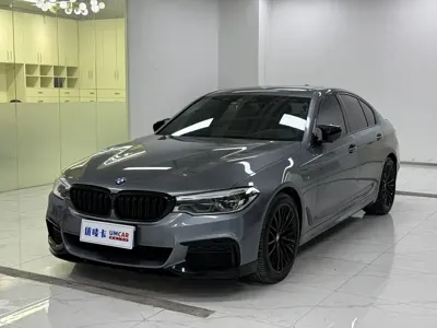 BMW 5 Series (Import)