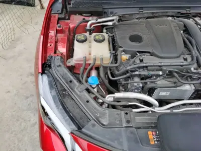 MG MG7