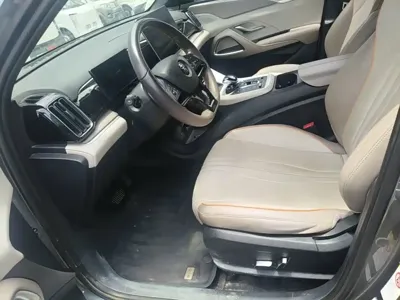 BYD Pro New Energy