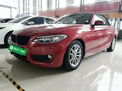 BMW 2 Series (Import)