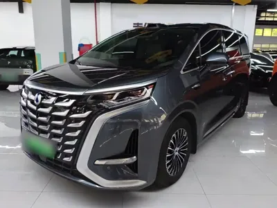 Denza Denza D9