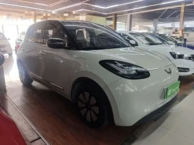 Wuling Bingo