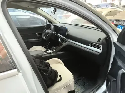 BYD Pro