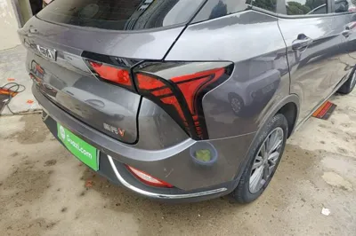 NETA V