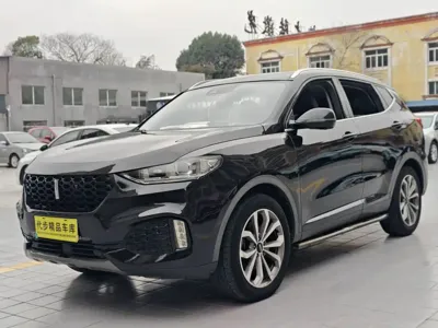 WEY Wey VV6