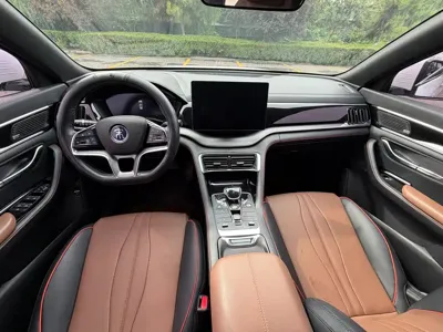 BYD PLUS