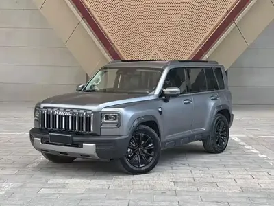 Haval 哈弗猛龙燃油