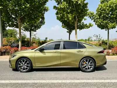 GAC Motor Shadow Leopard