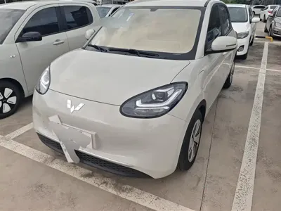 Wuling Bingo