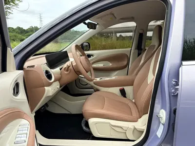 Wuling Bingo