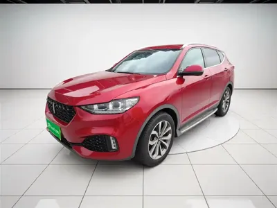 WEY Wey VV6