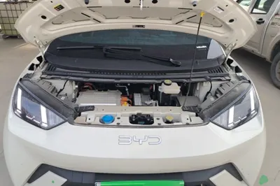 BYD Seagull