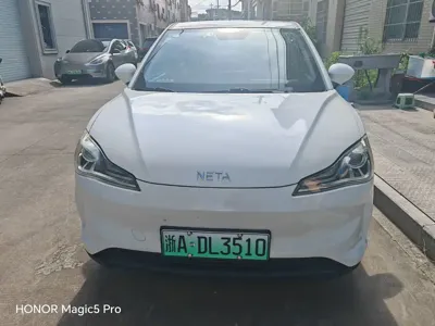 NETA Neta V