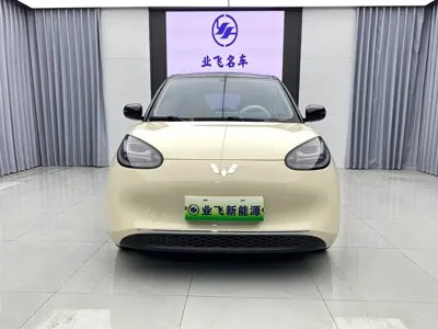 Wuling Bingo