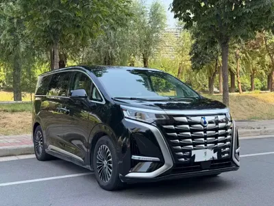 Denza Denza D9
