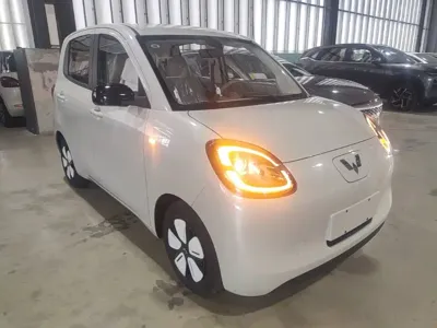 Wuling MINIEV