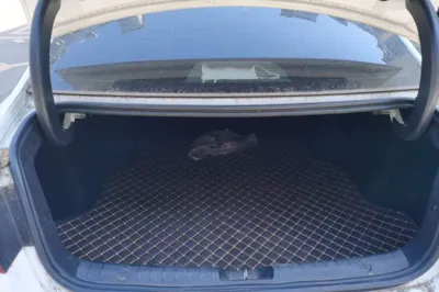 Geely Auto Emgrand GL