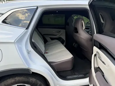 BYD PLUS New Energy