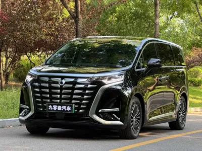 Denza Denza D9