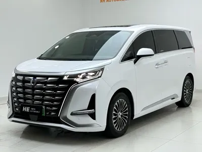 Denza Denza D9