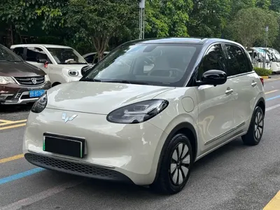 Wuling Bingo