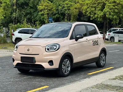 Leapmotor Leapmotor T03