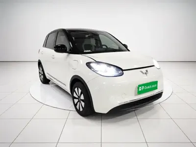 Wuling Bingo