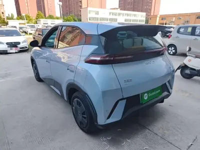 BYD Seagull