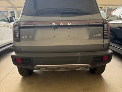 Haval Big Dog