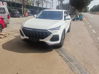 Oshan Oushang X5 PLUS