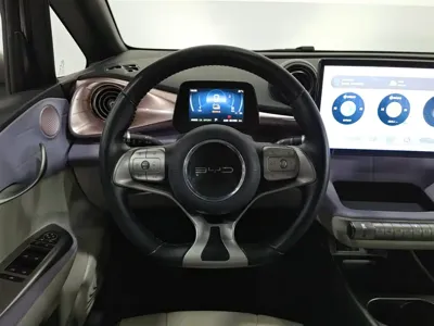 BYD Dolphin