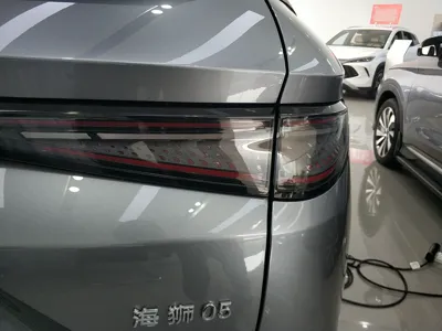 BYD Sea Lion 05