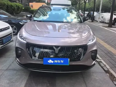 Voyah Zhiyin