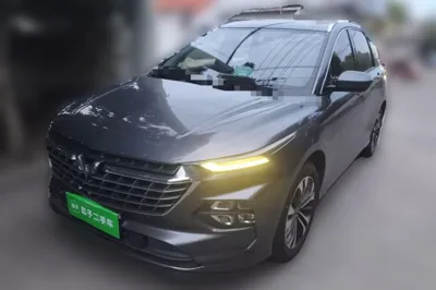 Wuling Victory