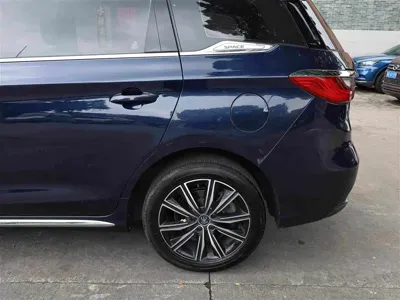 BYD MAX New Energy