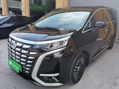 Denza Denza D9